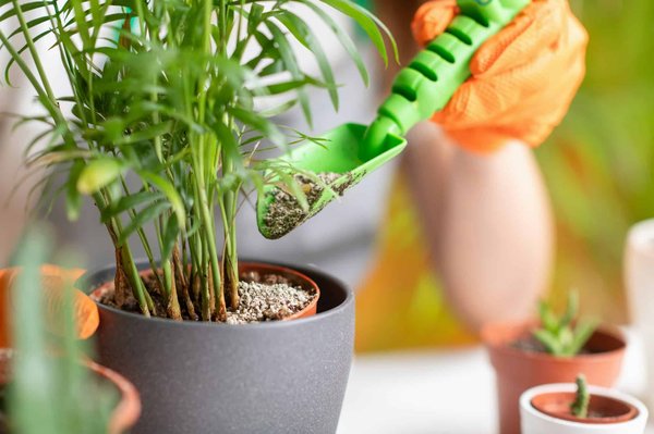 Top-Geschäftstrends und ihre langfristigen Auswirkungen